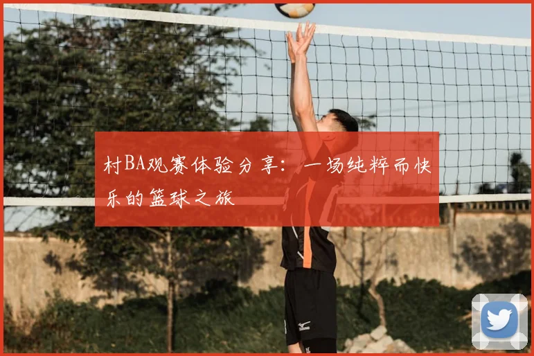 村BA观赛体验分享：一场纯粹而快乐的篮球之旅